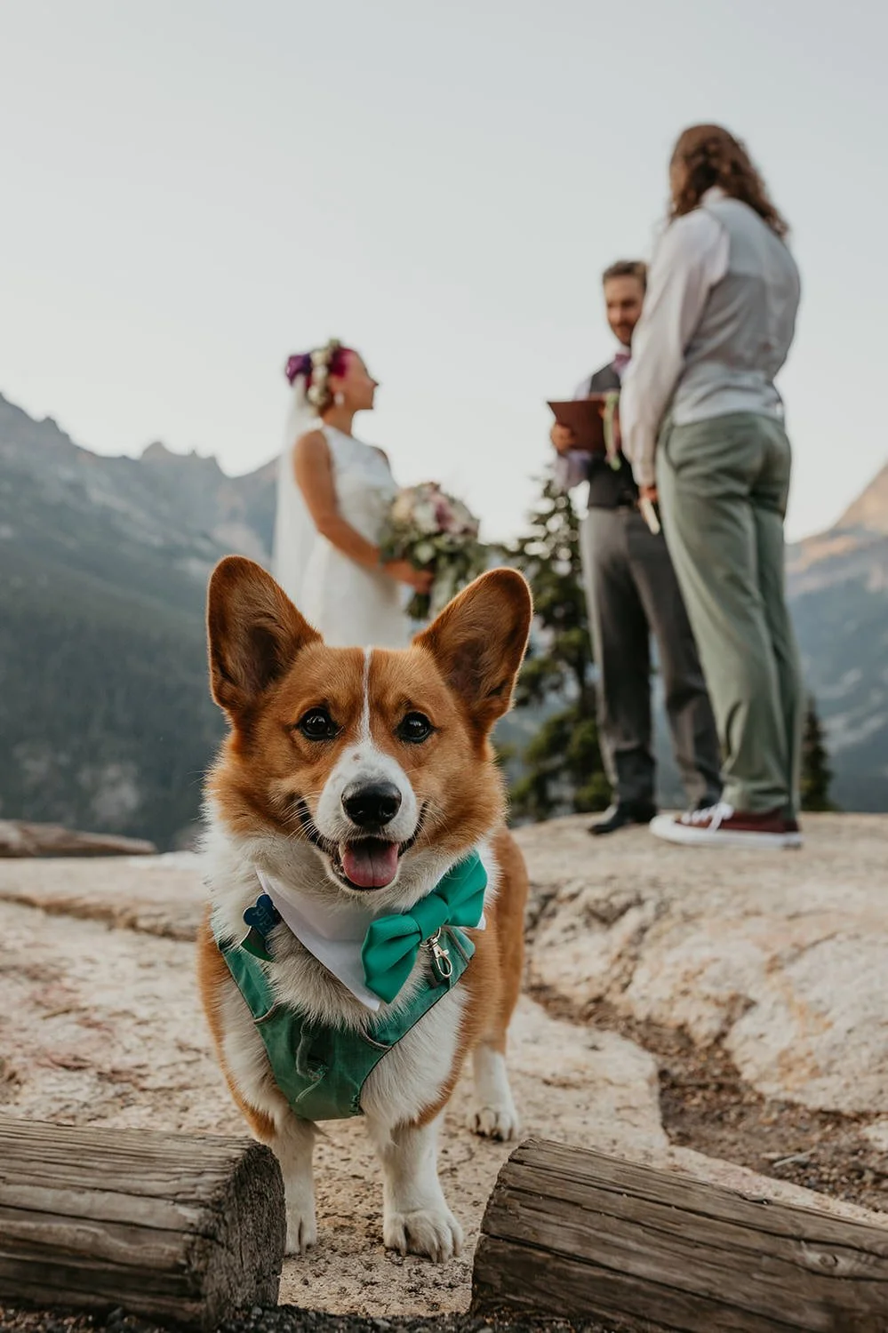 Best Dog-Friendly Elopement Locations in Washington