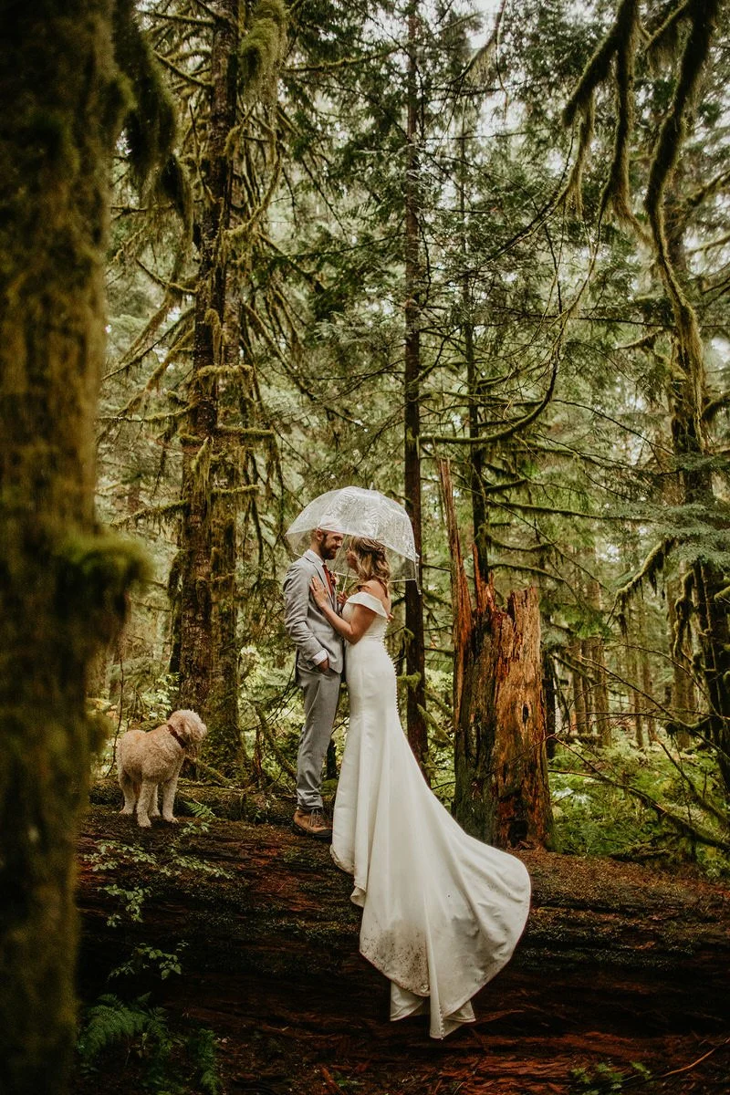 Couple standing on a moss-covered log under a clear umbrella in a lush Washington rainforest, their dog nearby during a rainy forest elopement.