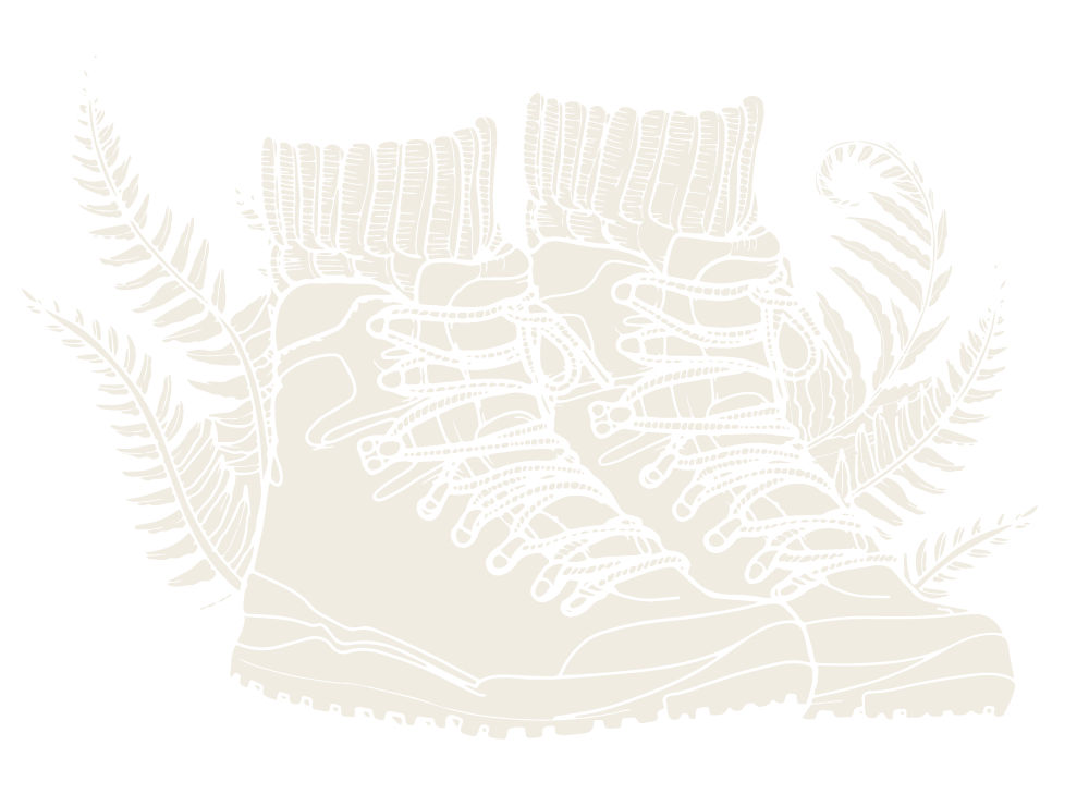 white illustration of hiking boots with socks, surrounded by ferns