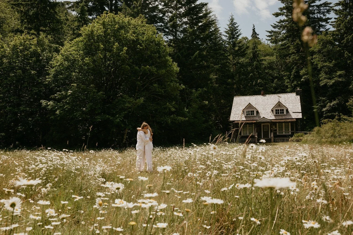 A couple hugging in a field of daisies with a house and tall trees in the background.