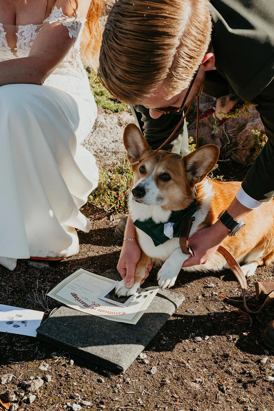 A couple includes their corgi in their elopement ceremony as the dog places a paw on their marriage certificate, wearing a green bow tie while the couple looks on.