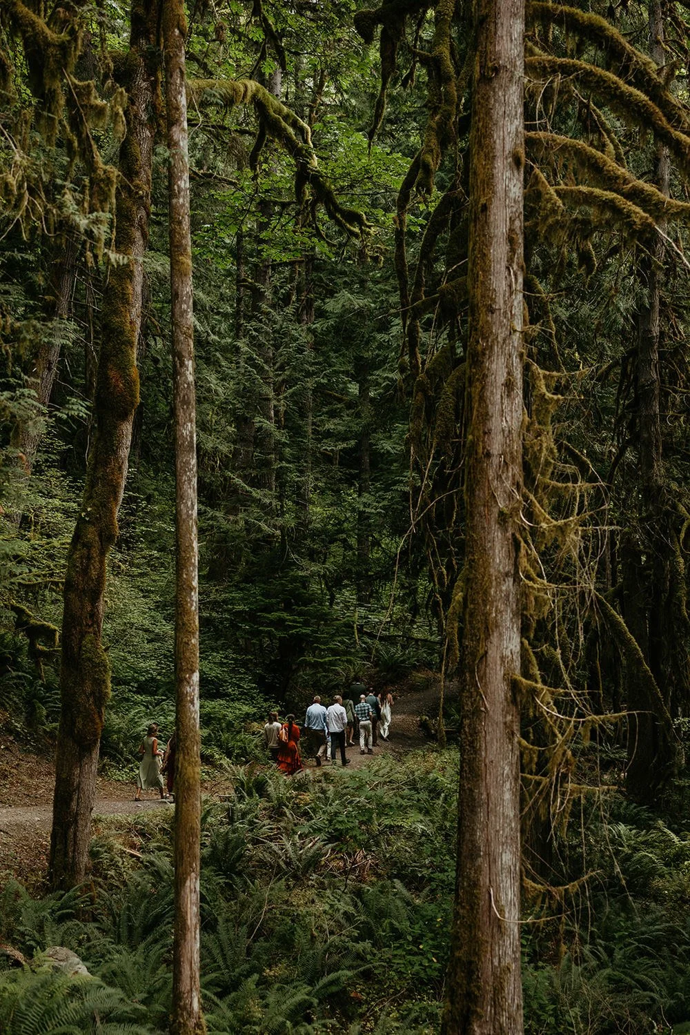 Elopement guests hiking along a forest trail toward a ceremony location in Washington