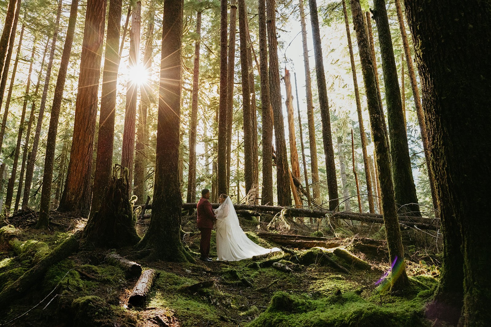 Bride and groom standing together in a mossy old-growth forest with sunbeams streaming through tall trees