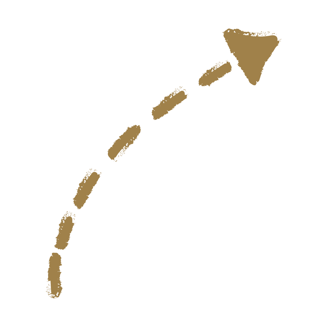Map of Madagascar showing the main island in brown with a dashed line indicating the coastline.