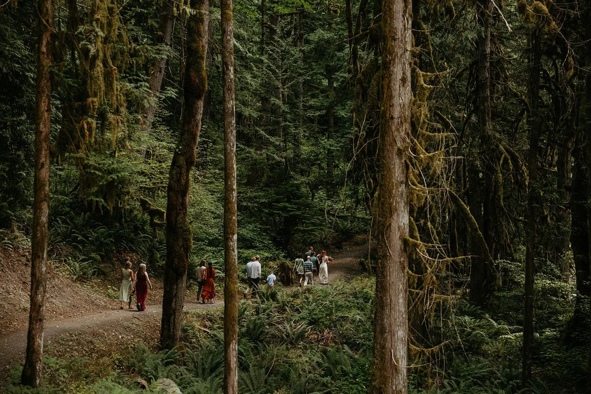 Intimate forest elopement ceremony in Washington with guests walking through lush evergreen trees