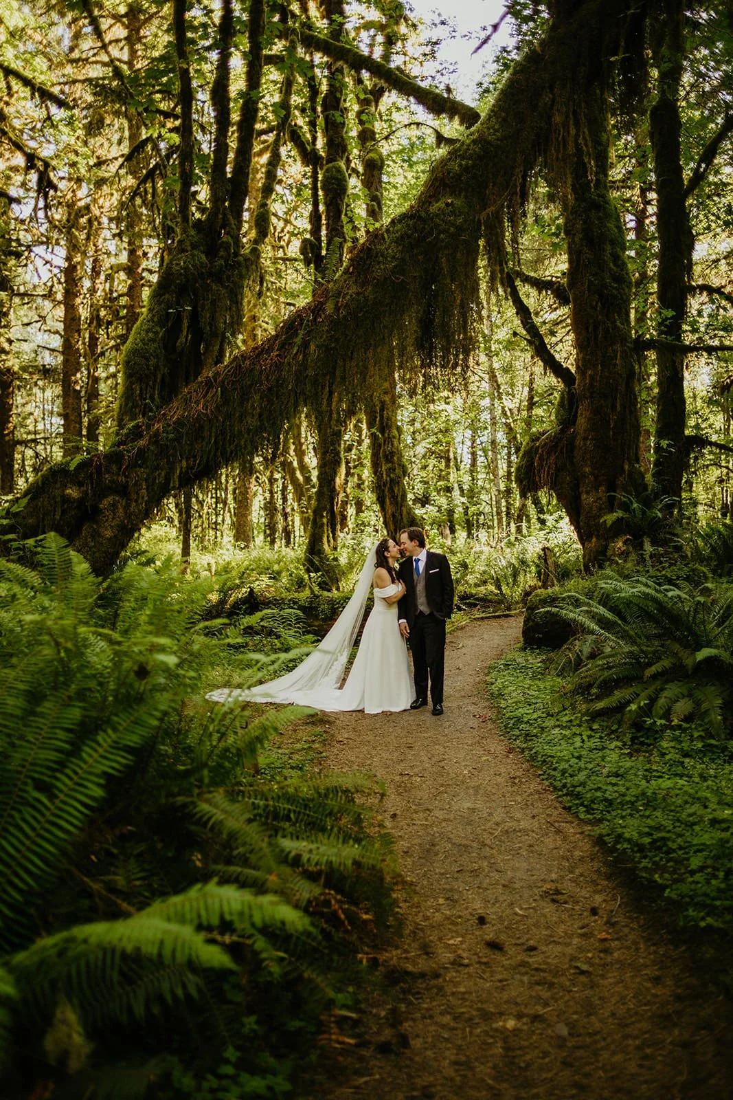 Eloping couple walking together along a forest path beneath a large moss-covered tree arch, surrounded by ferns and soft green light.