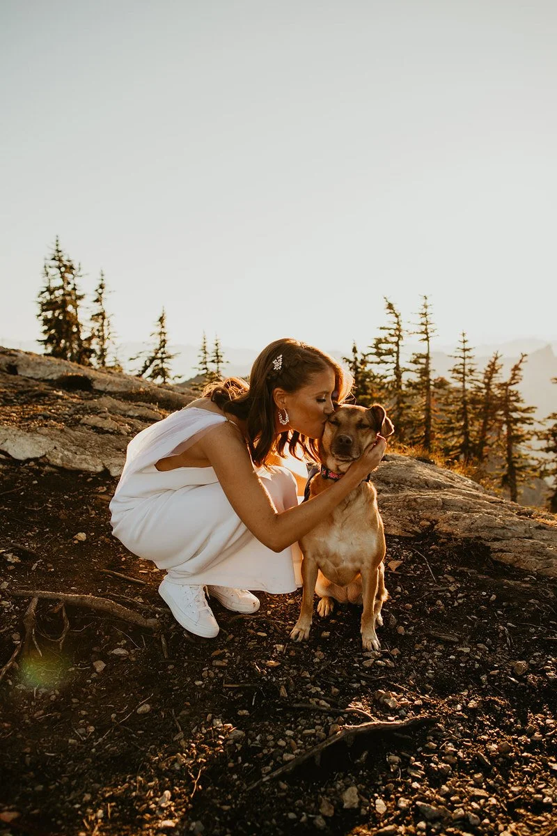 Bride kneeling to kiss her dog on a mountain overlook at sunset during an outdoor elopement