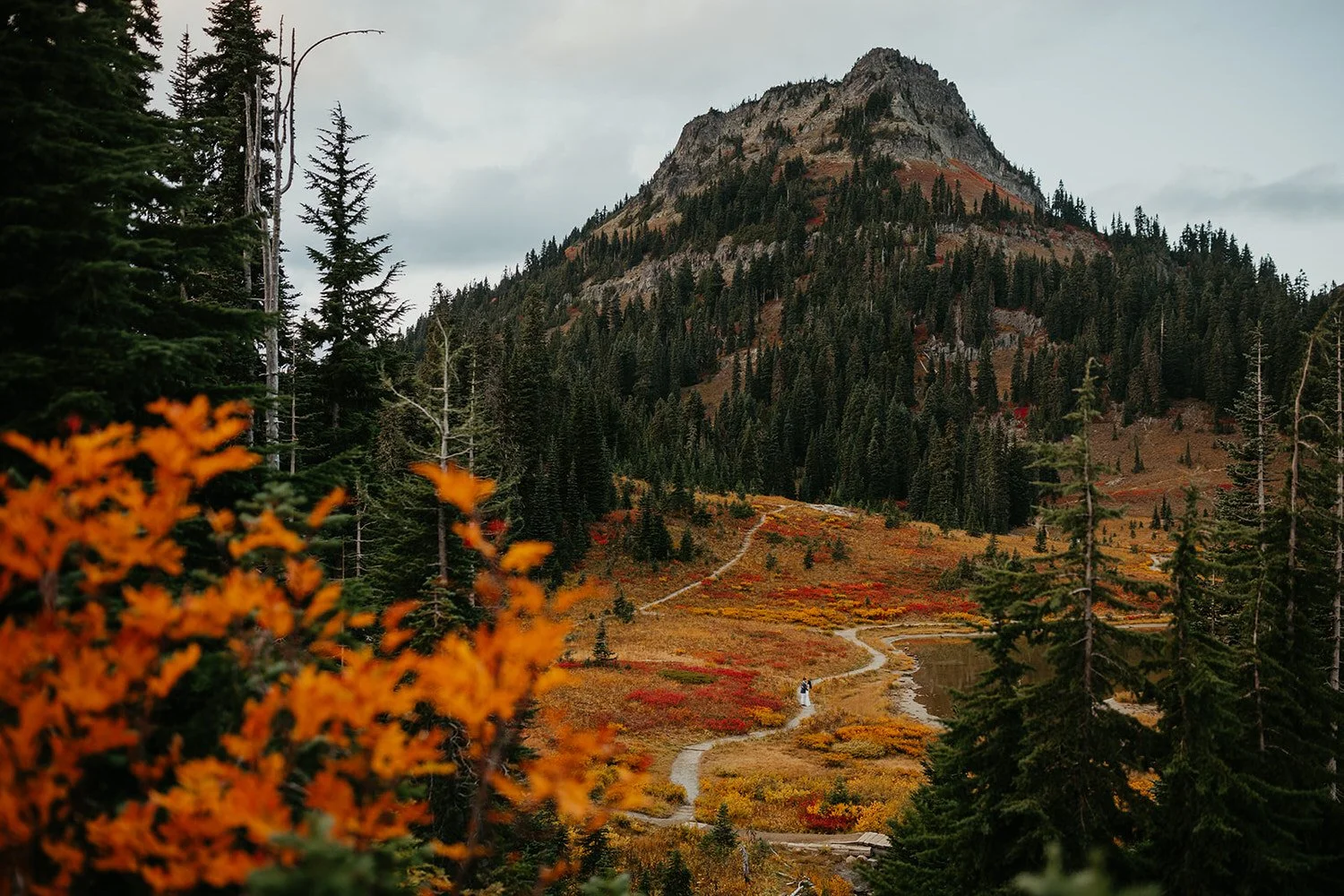 A tiny couples walks among a wide alpine landscape with winding trail through vibrant fall foliage and evergreen forest near Mount Rainier