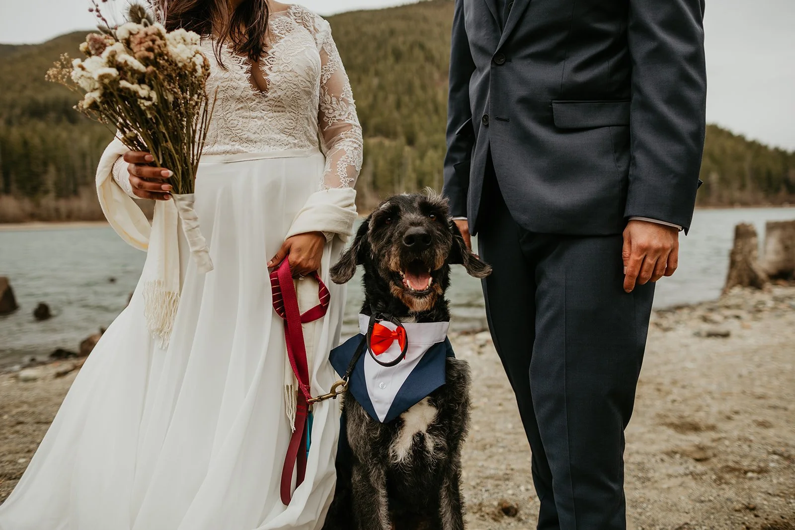 Bride and groom with their dog on a lakeshore during a Washington adventure elopement