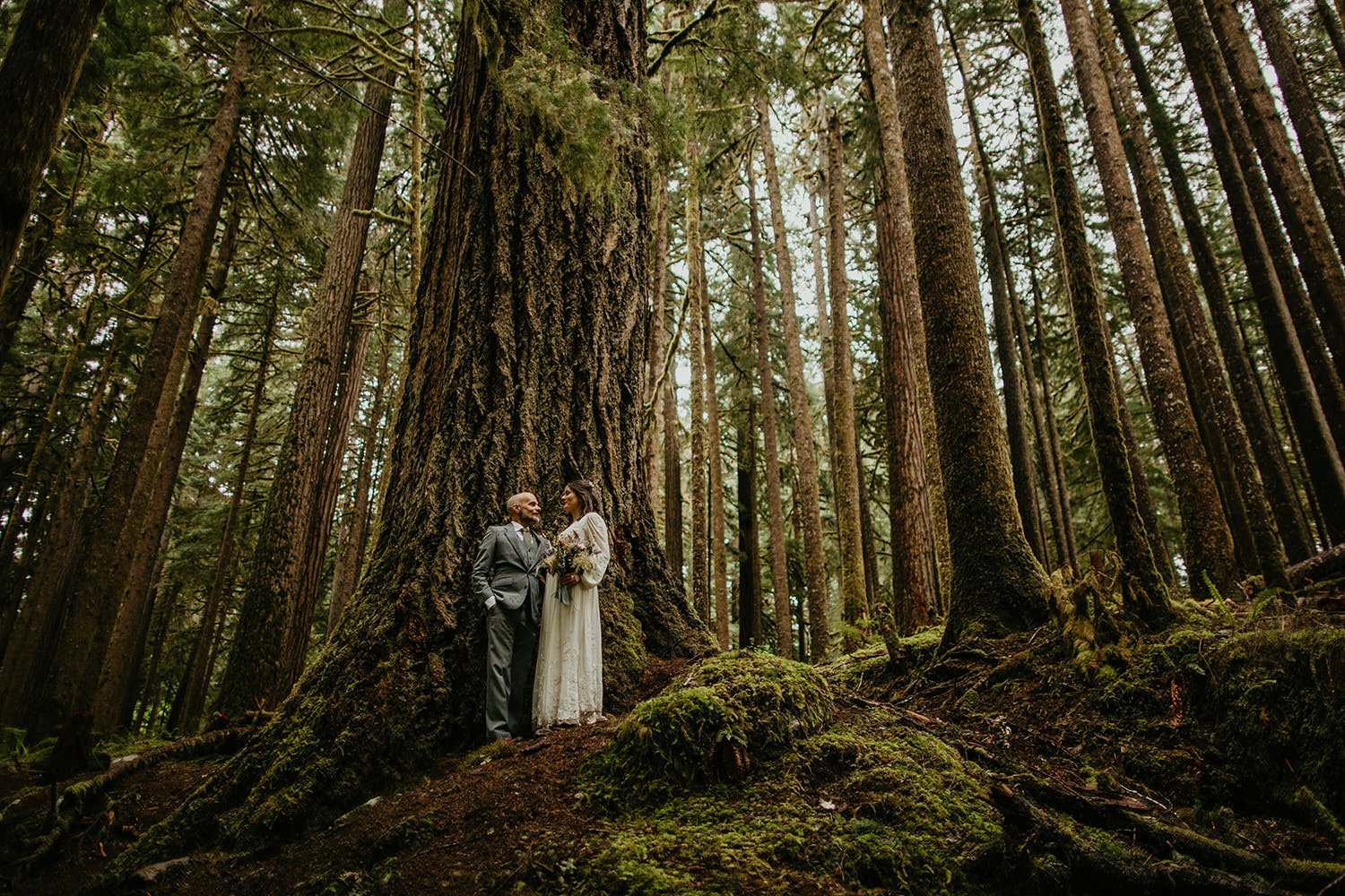 Couple standing together at the base of a massive moss-covered tree in a dense evergreen forest during an intimate Washington elopement.