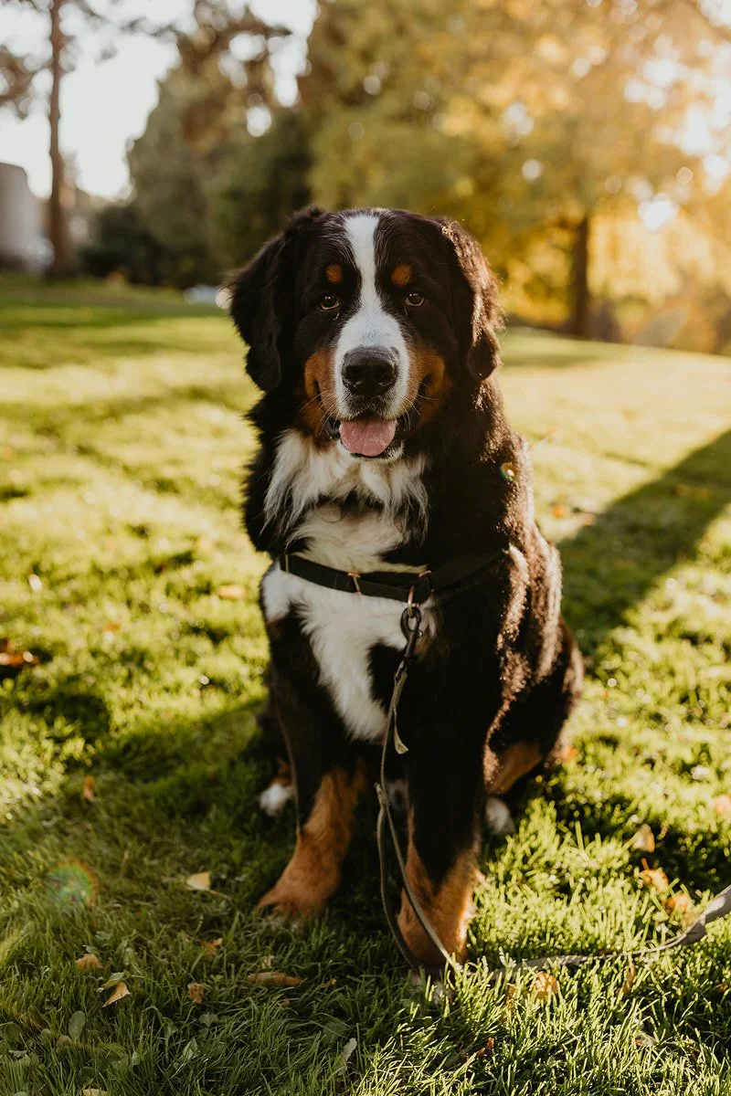 Leslie and Fonzie-7_websize.jpg