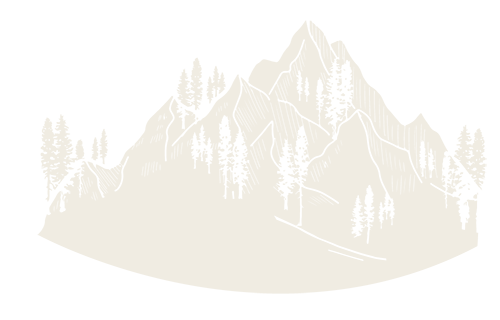 white hand drawn illustration of a set of mountains with pine trees scattered along the ridges