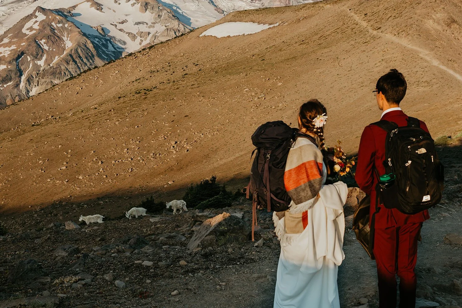 Eloping couple walking along an alpine trail with backpacks as mountain goats graze nearby on the hillside