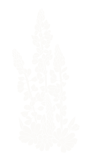 White silhouette of a flower arrangement with tall flowers and broad leaves on a black background.