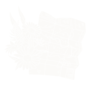 white illustration of an unfolded map with wildflowers poking out of the side