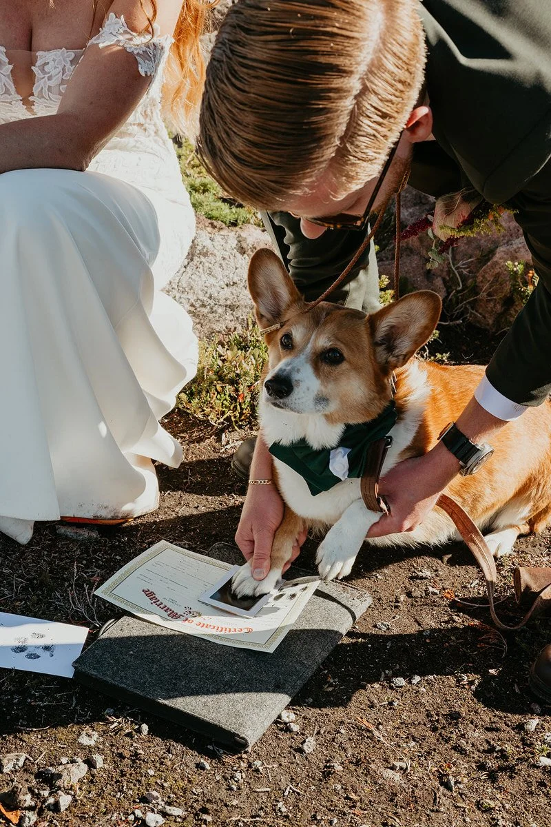 Couple including their dog in their outdoor ceremony, signing their Washington marriage license on a mountain overlook.