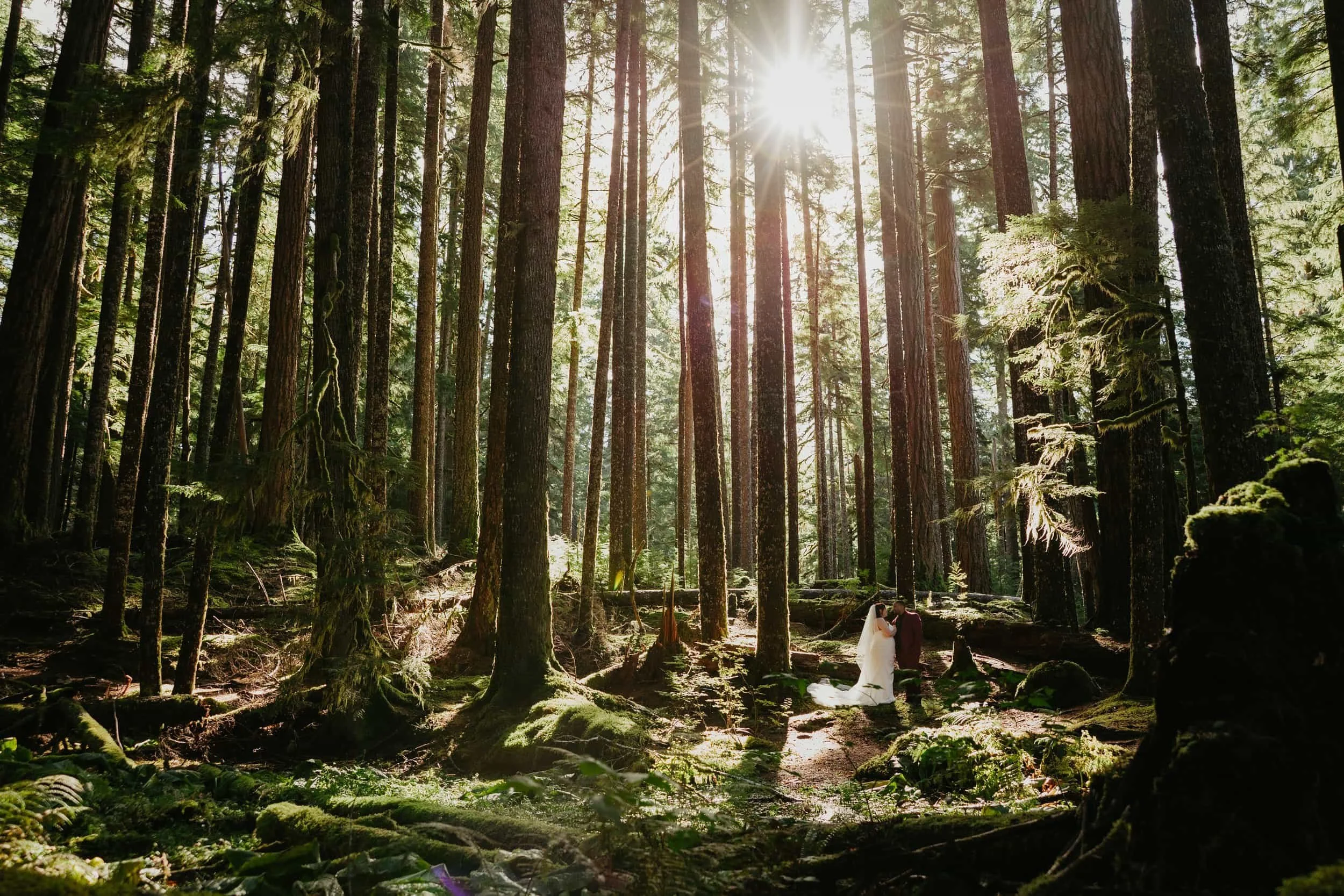 Couple exchanging vows in a sunlit forest clearing, framed by tall evergreen trees and moss covered ground.