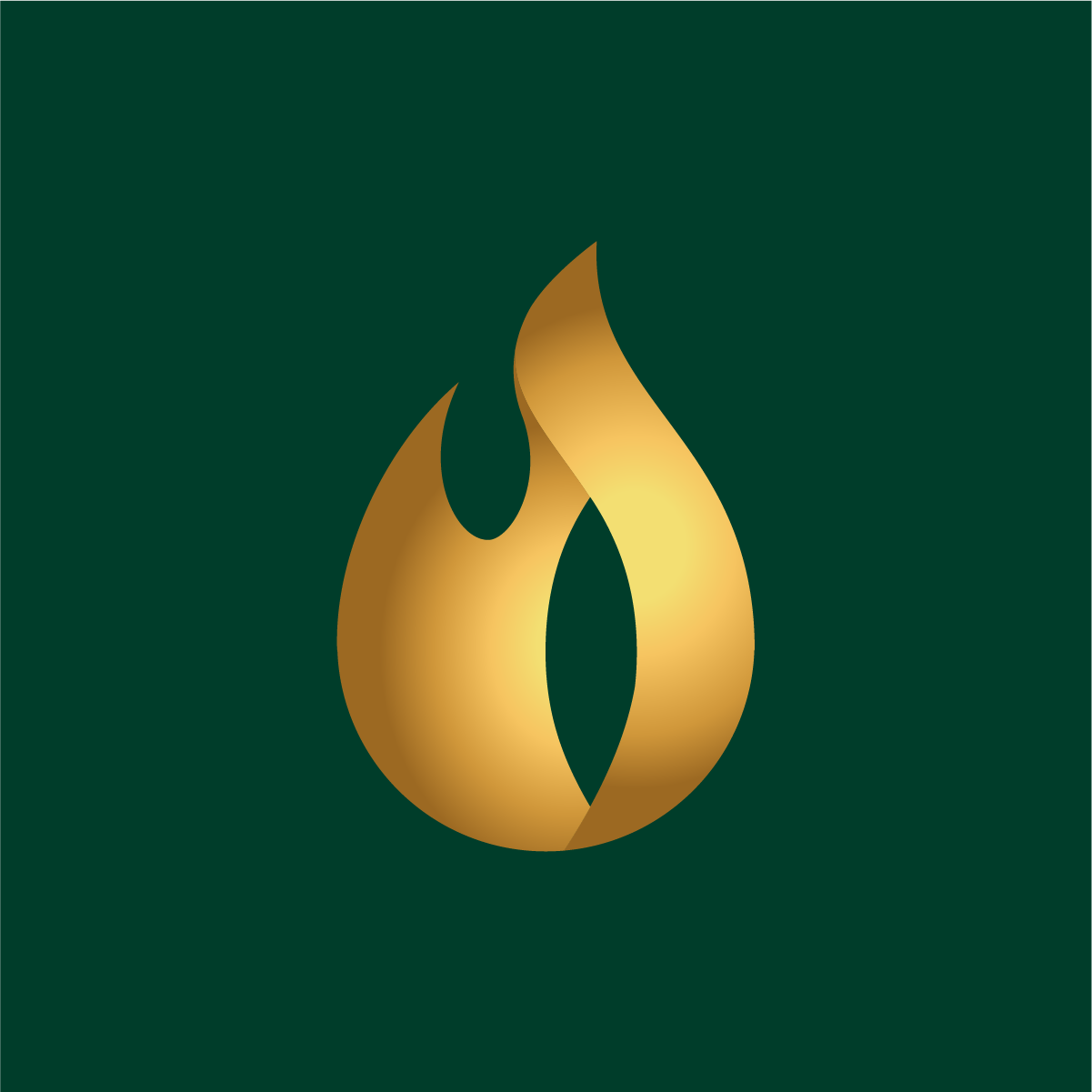 Olusan Brand Identity & Digital Experience