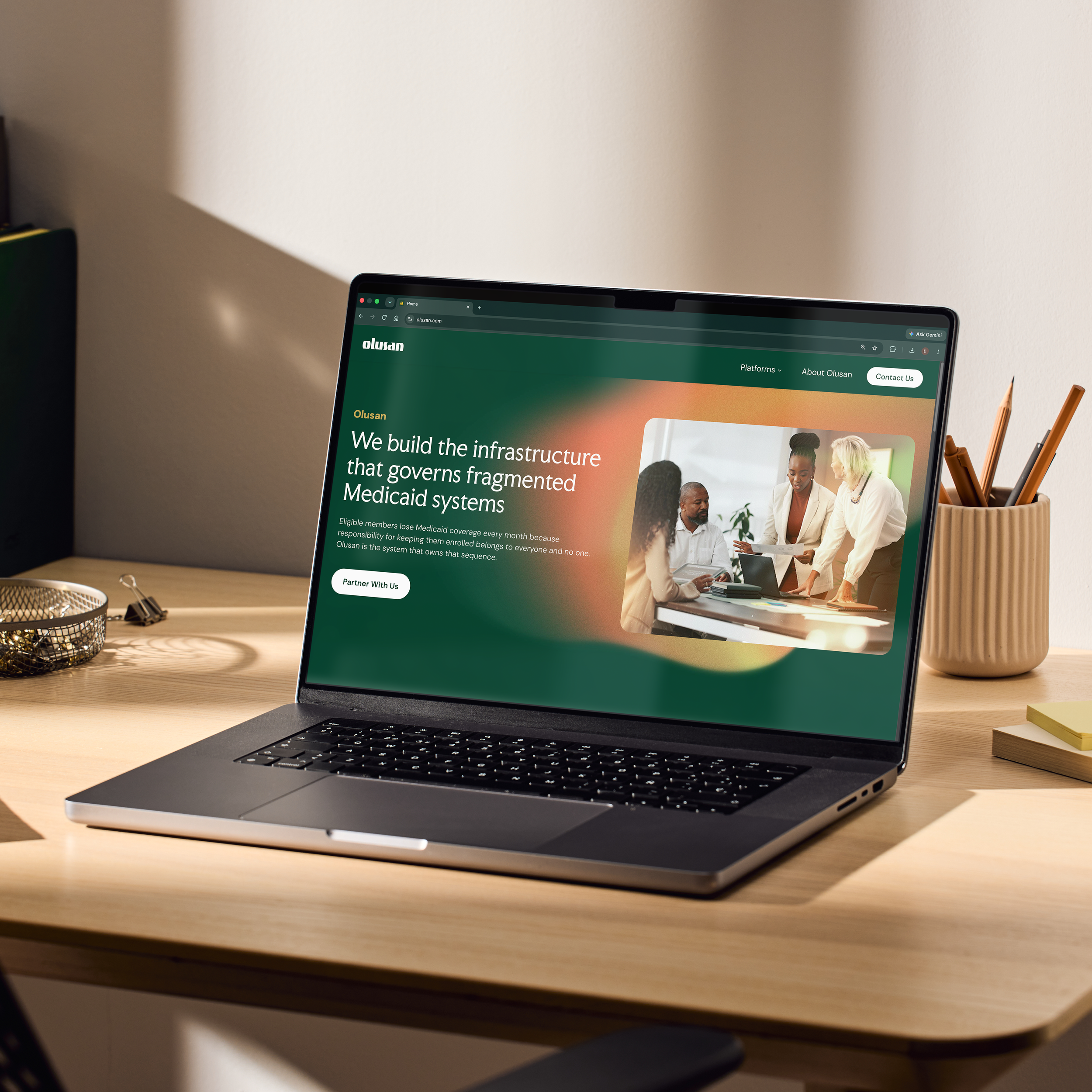 Olusan Brand Identity & Digital Experience