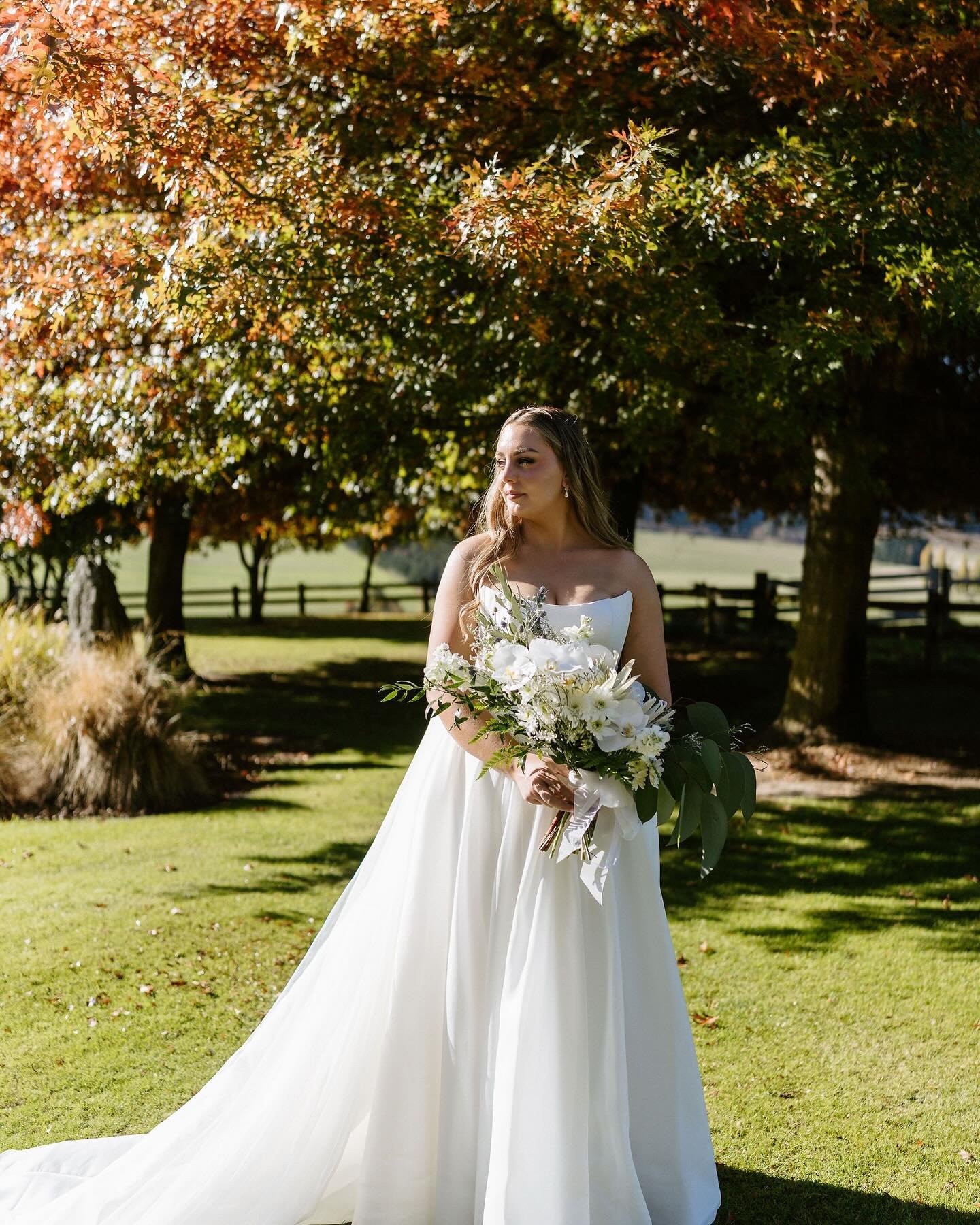 Autumn weddings are hands down my fave! Couldn&rsquo;t have asked for better weather for C&amp;J&rsquo;s big day at the Lookout Lodge. 🍁🍂

@celine_maree absolutely slayed it as bride. Just look at her!! And their sweet wee pup Brioche had my heart,