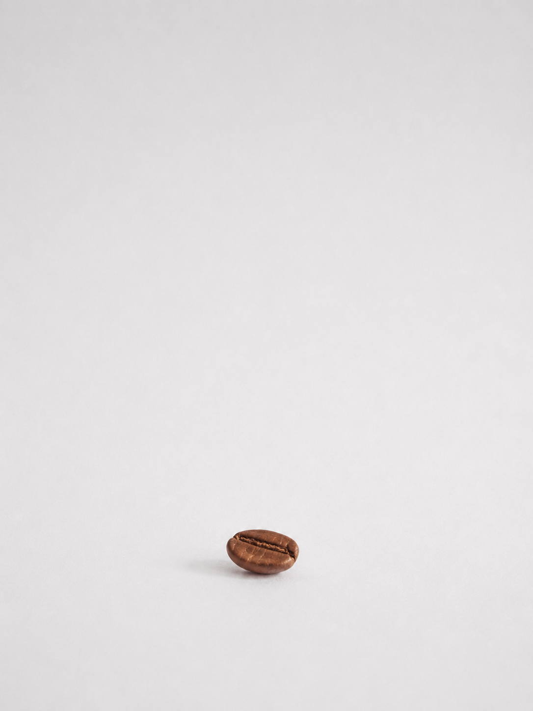 e3078bc6-f2c0-4bb9-84c2-eea159001b80.png