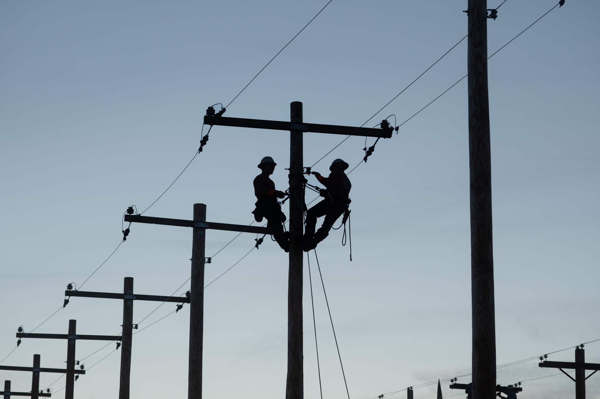 ILR-105.jpg