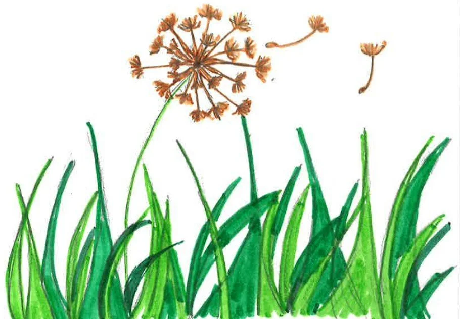 03_GRASS.jpg