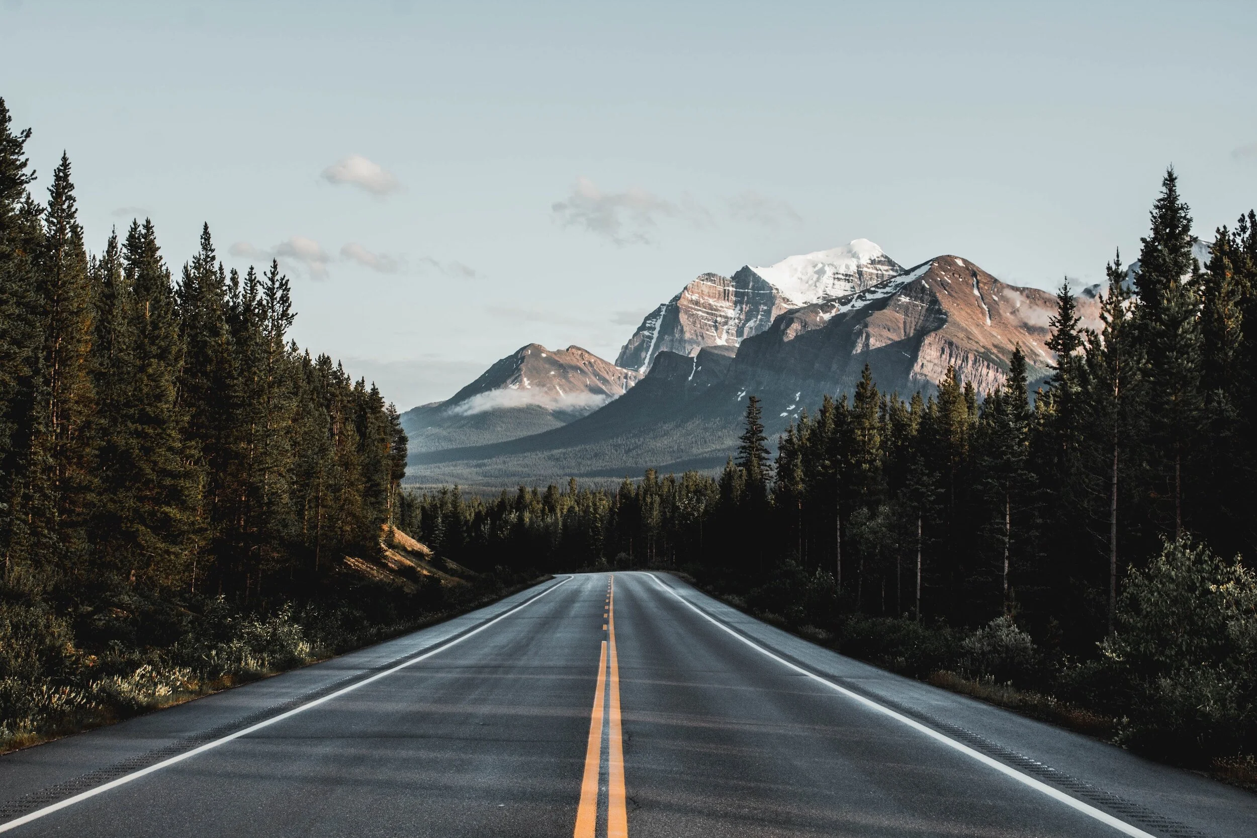 Scenic road leading to snow-capped mountains with pine trees on both sides.