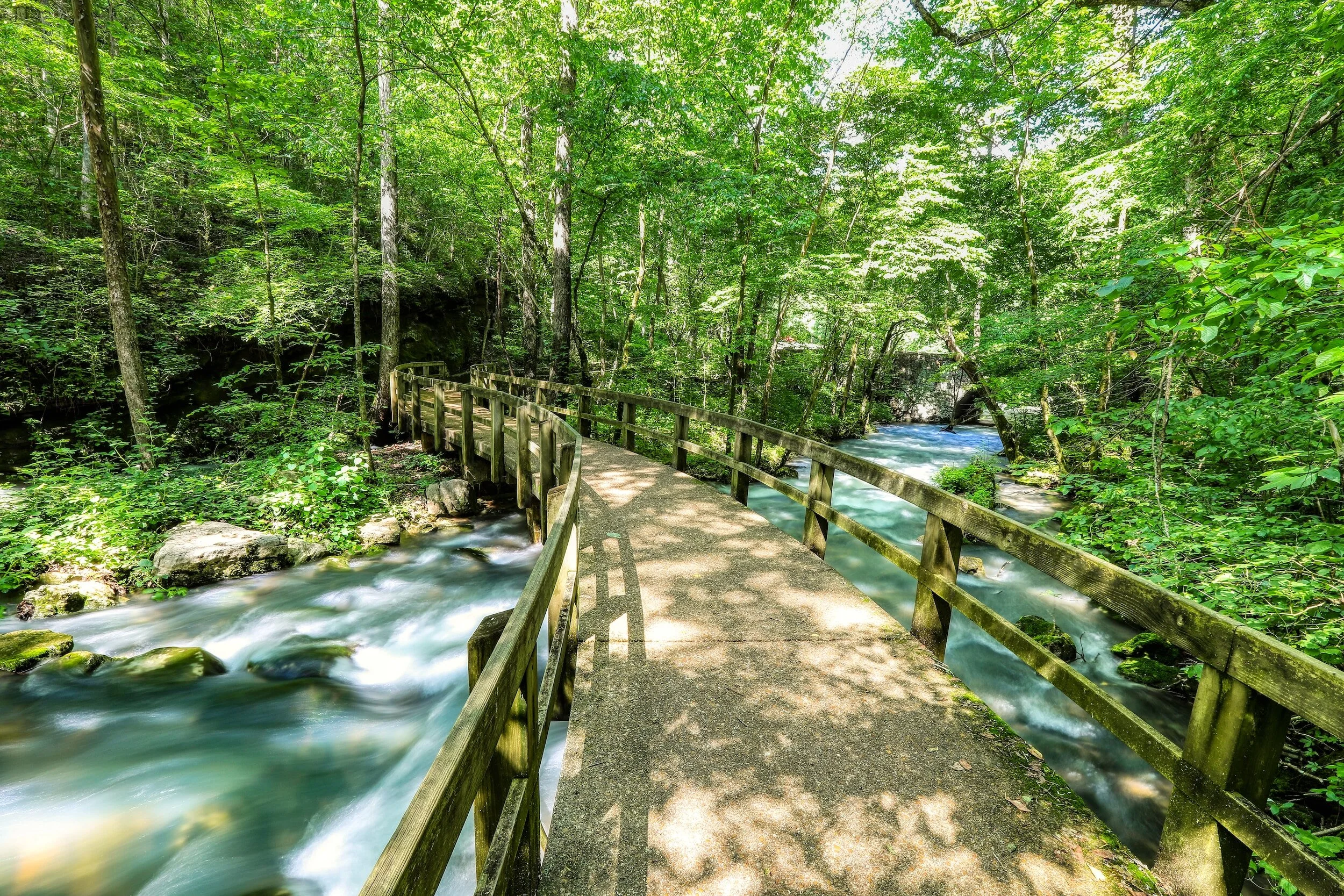 Wooden footbridge over a flowing stream in a lush green forest