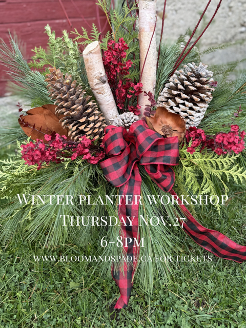 Winter planter worship!.PNG