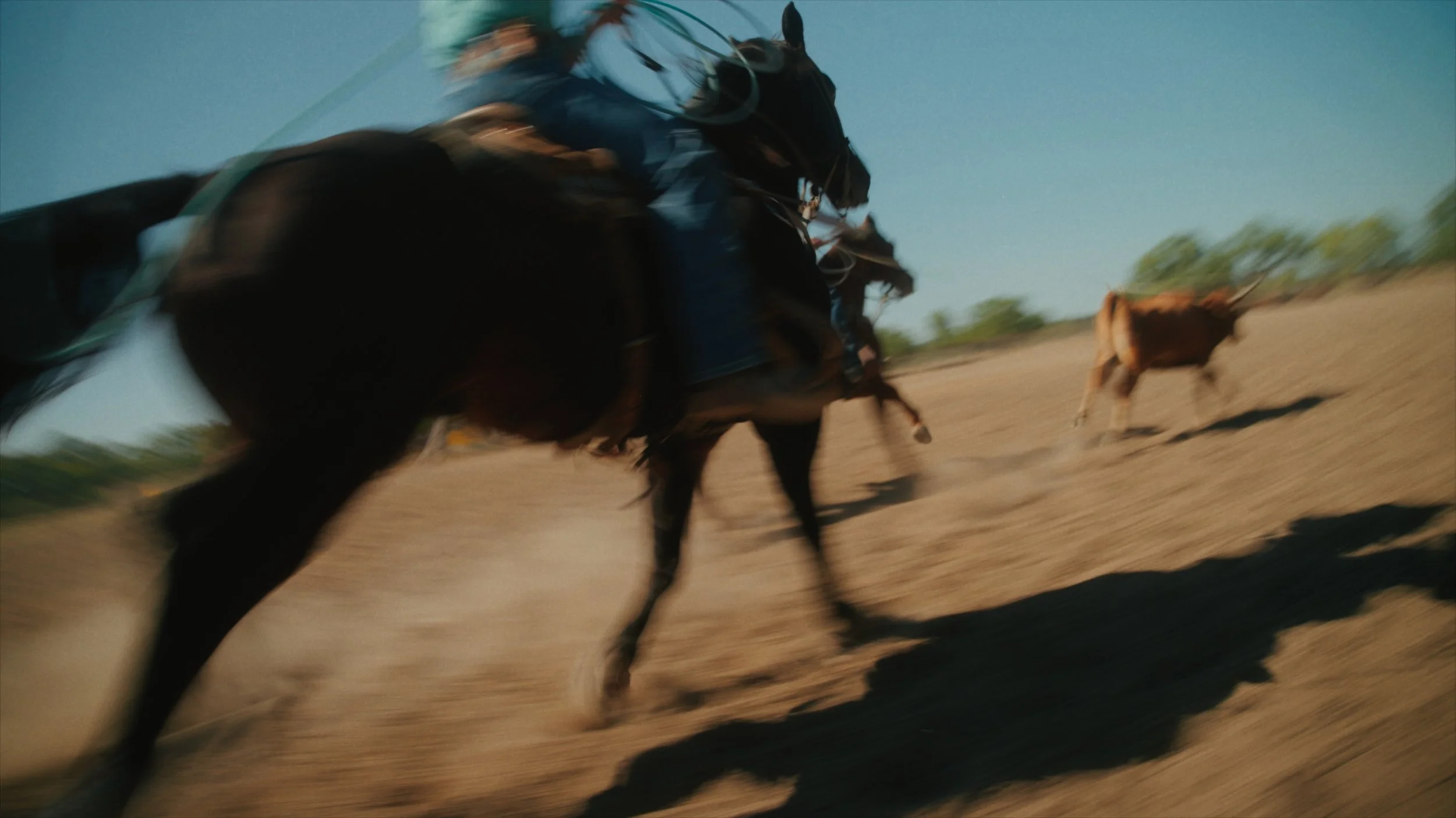 Screenshot 2026-02-04 at 9.48.43 PM.jpg