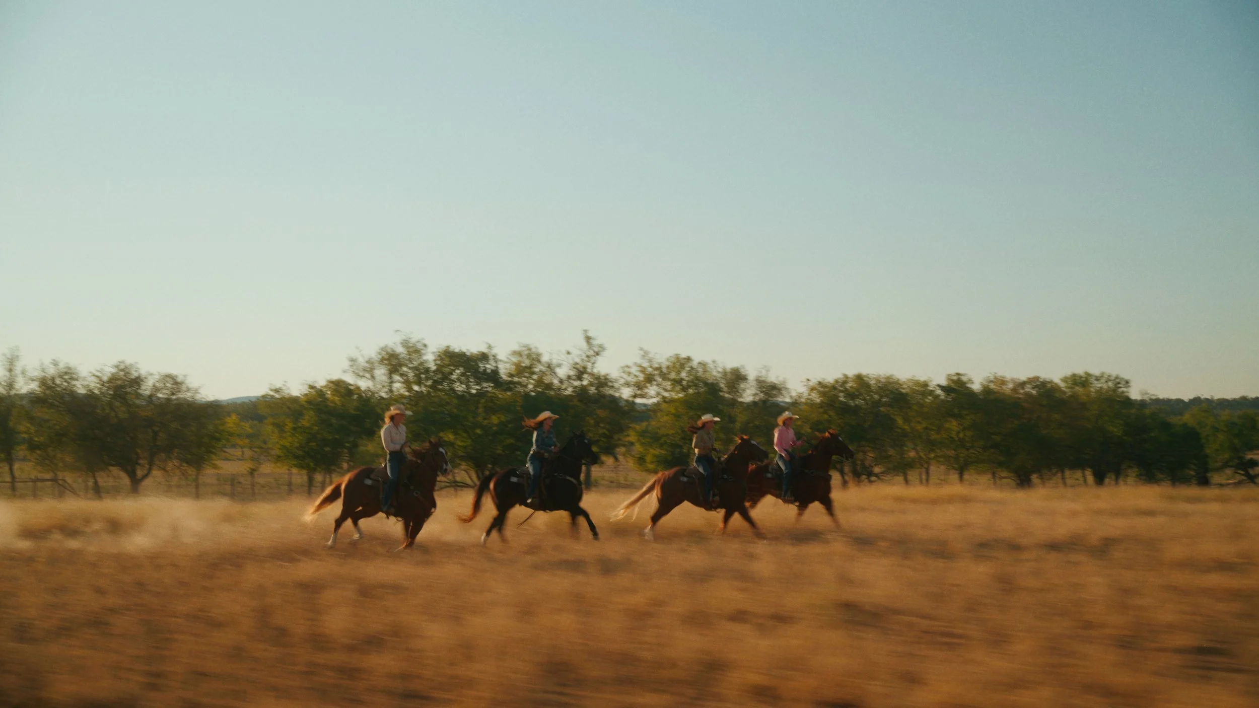 Screenshot 2026-02-04 at 9.54.33 PM.jpg