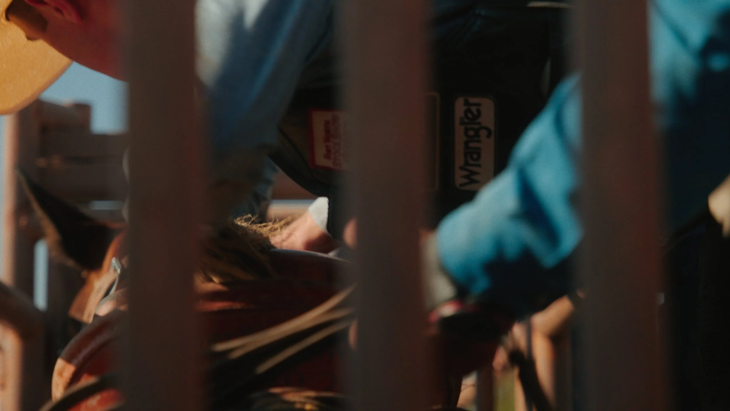 Screenshot 2026-02-04 at 9.56.50 PM.jpg