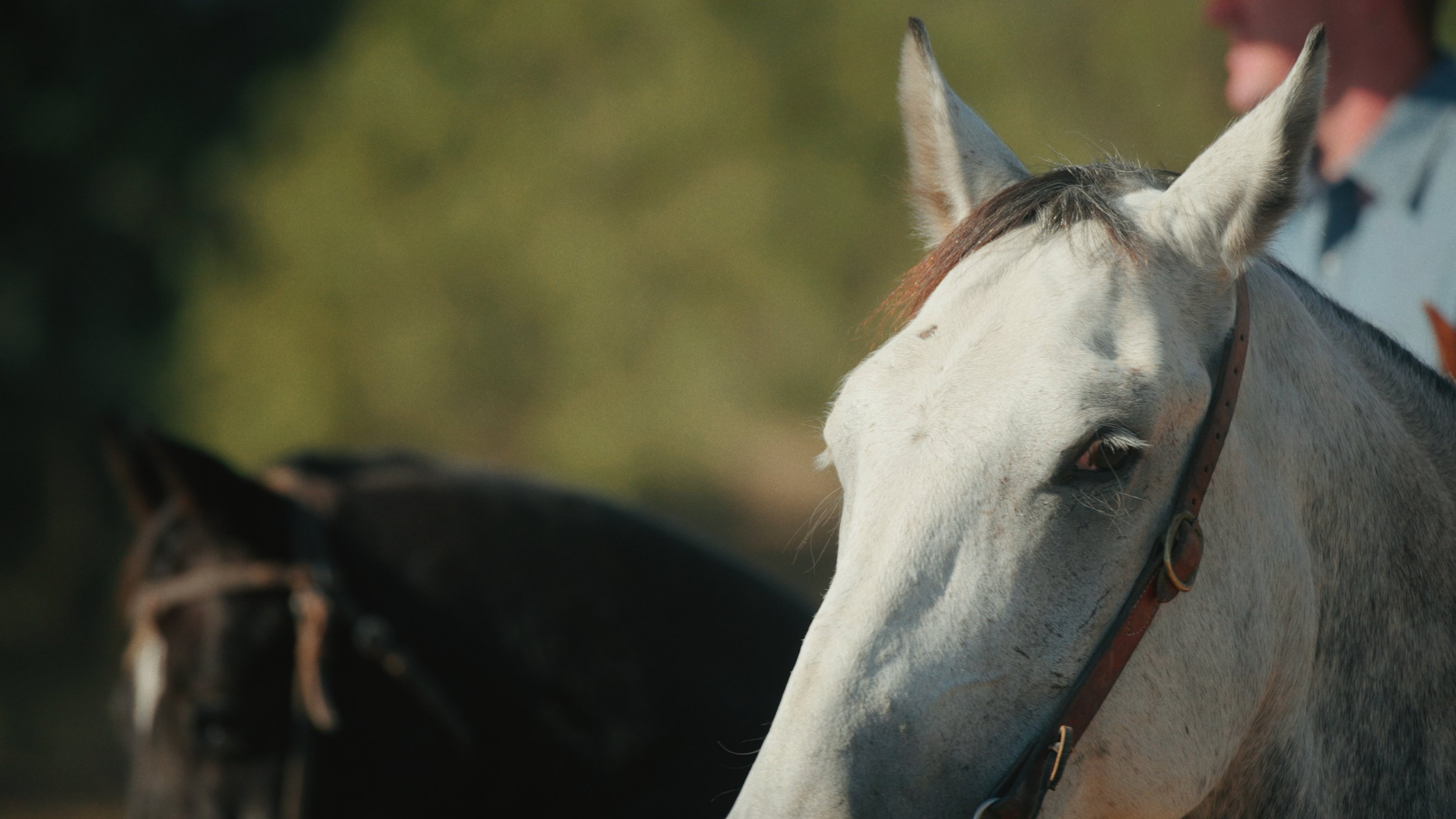 Screenshot 2026-02-04 at 9.51.56 PM.jpg