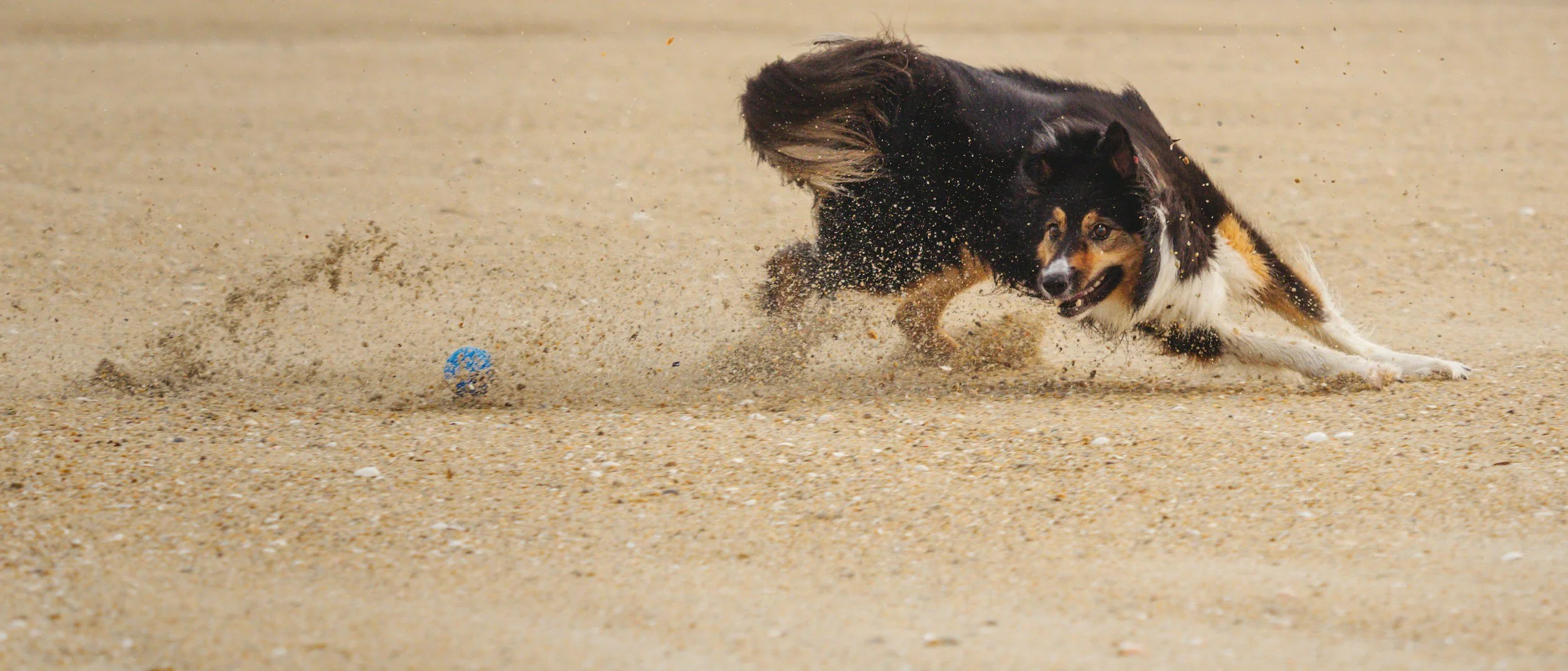 Why Trauma Work Must Be Paced