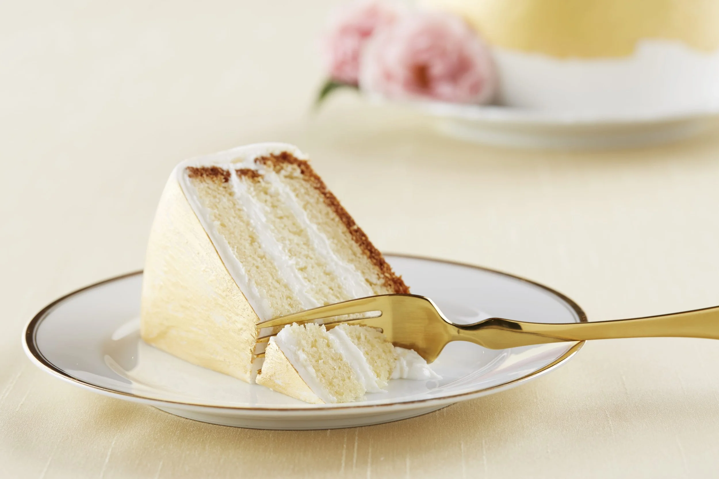 Cake Slice67.jpg