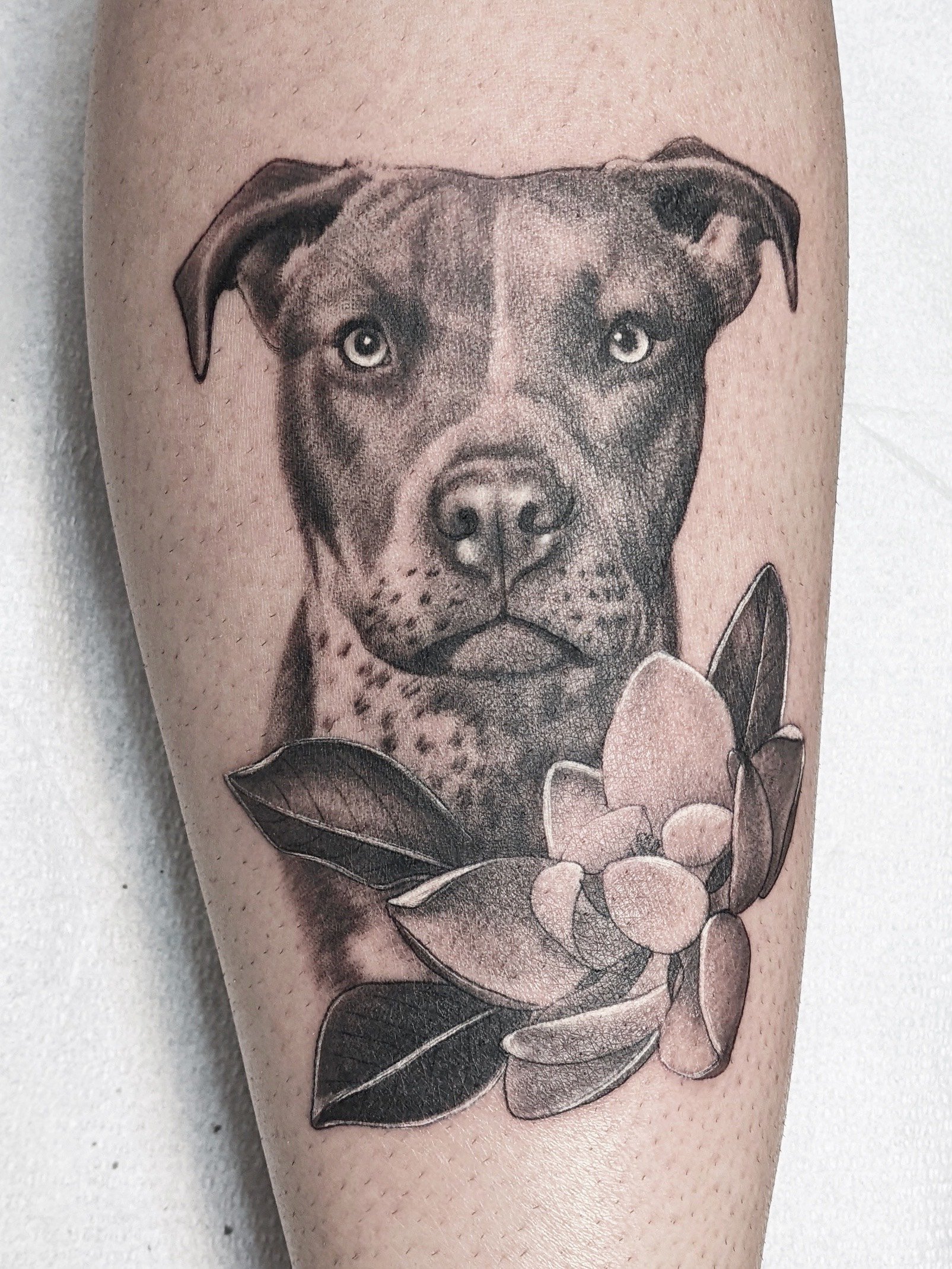 Gingko biloba tattoo by Annelie Fransson  Tattoogridnet