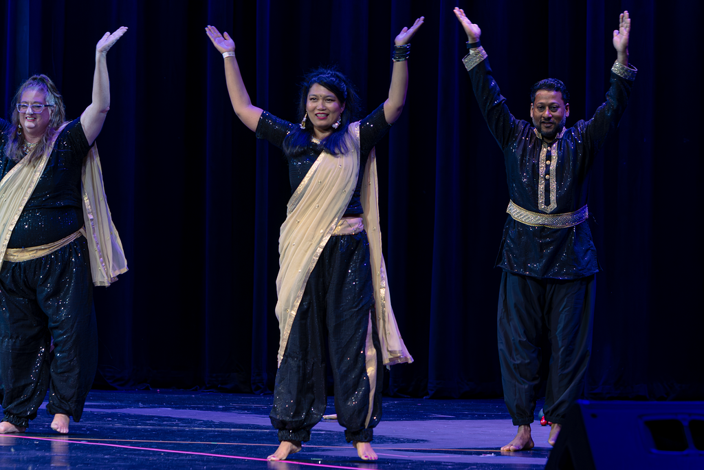 Bollywood Adult recital performance with high-energy choreography