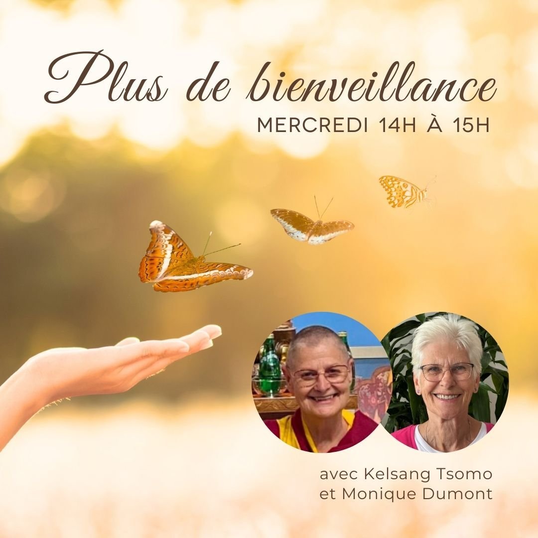 Plus de bienveillance - Tous les mercredis