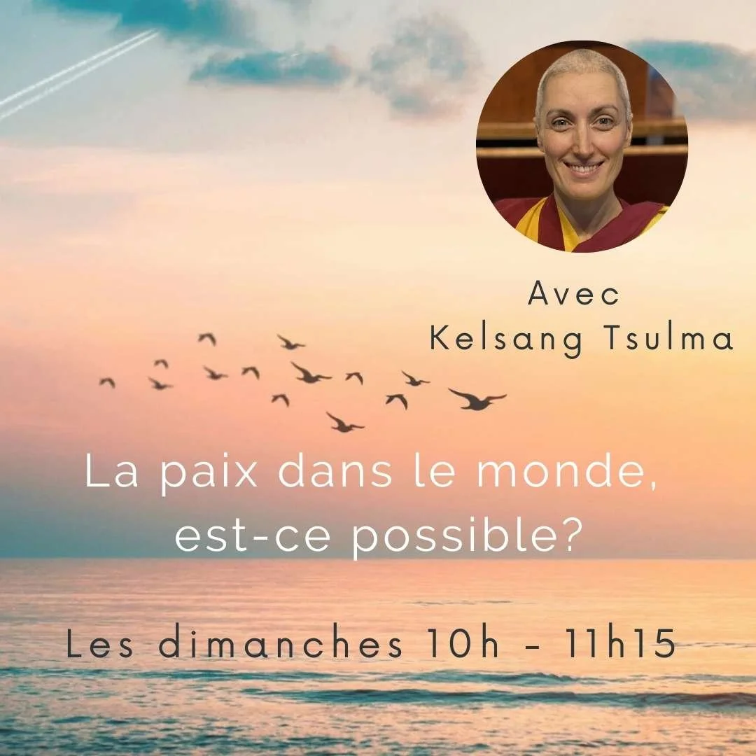 Dimanches fevrier 2026.jpg