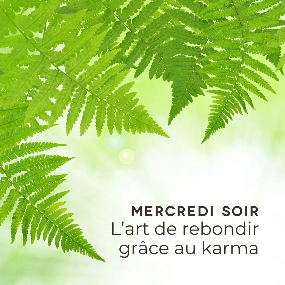 L'art de rebondir grâce au Karma avec Guèn Chögyan - Dès le 19 août