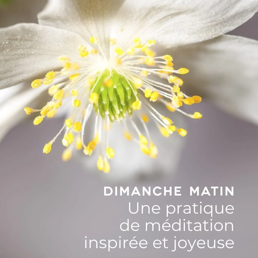 Une pratique de méditation inspirée et joyeuse - Dès le 16 août