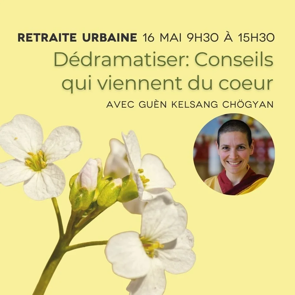 Dédramatiser : conseils qui viennent du cœur - 16 mai