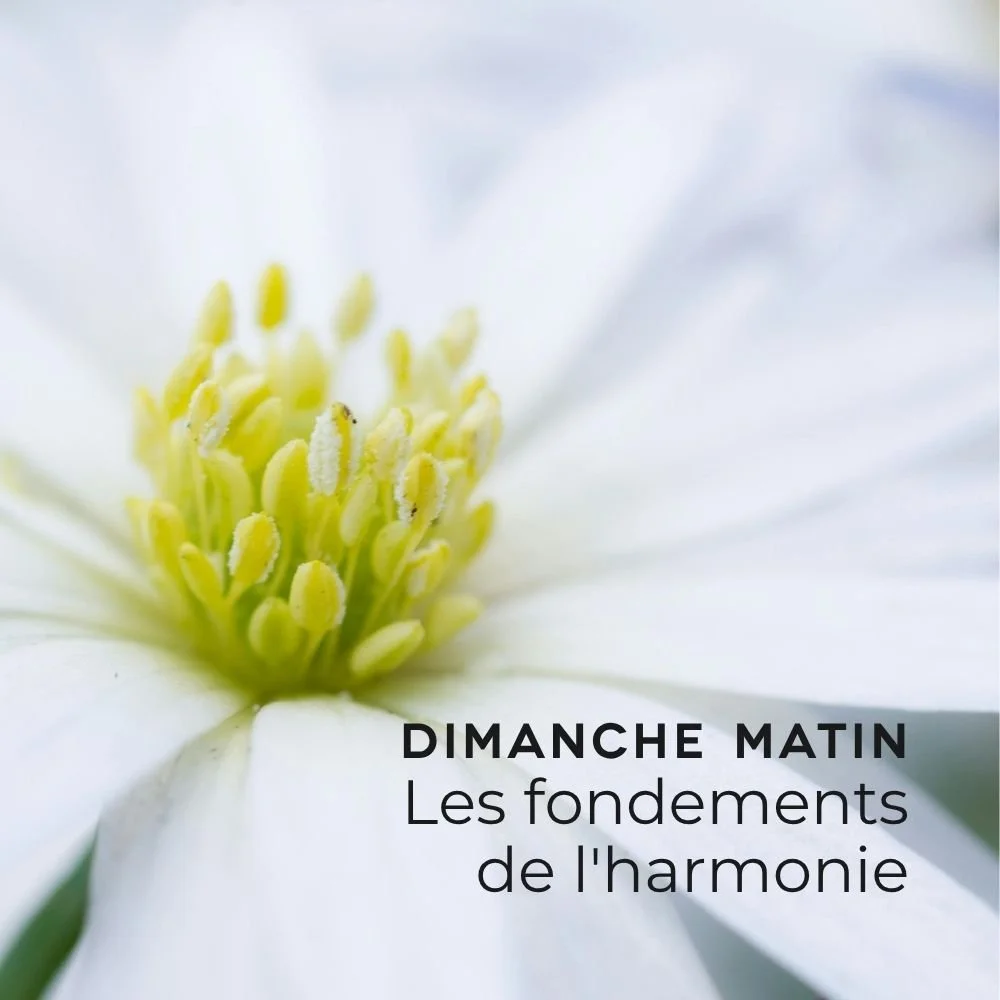 Les fondements de l'harmonie - Dès le dimanche 22 novembre