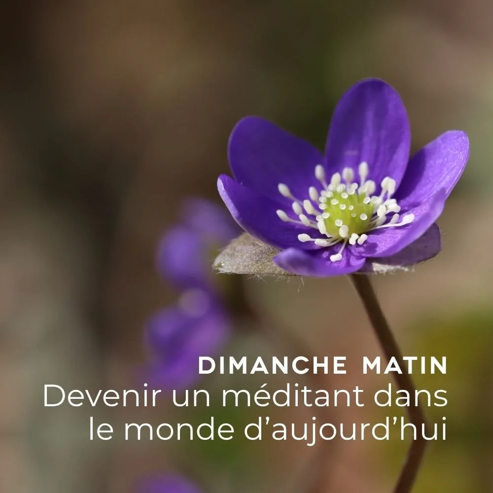 Devenir un méditant dans le monde d'aujourd'hui - Dès le dimanche 27 septembre