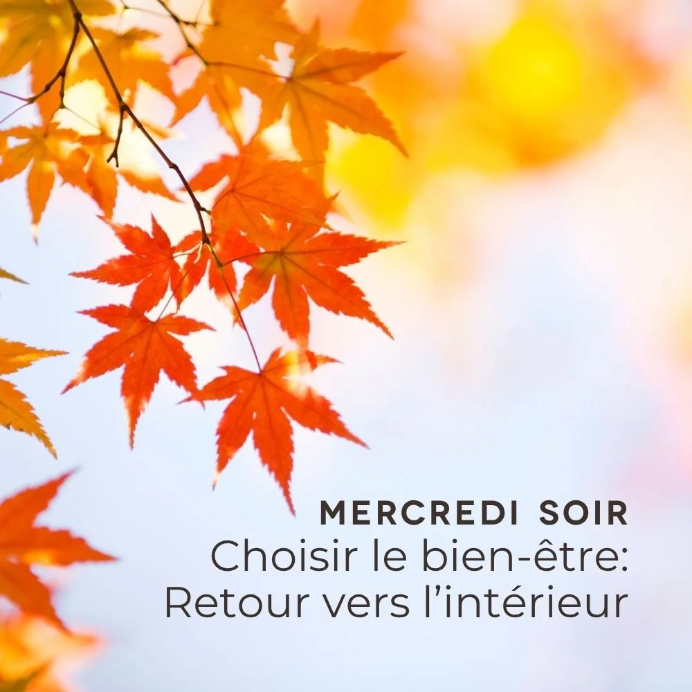 Choisir le bien-être: retour vers l'intérieur avec Guèn Chögyan - Dès le 9 septembre