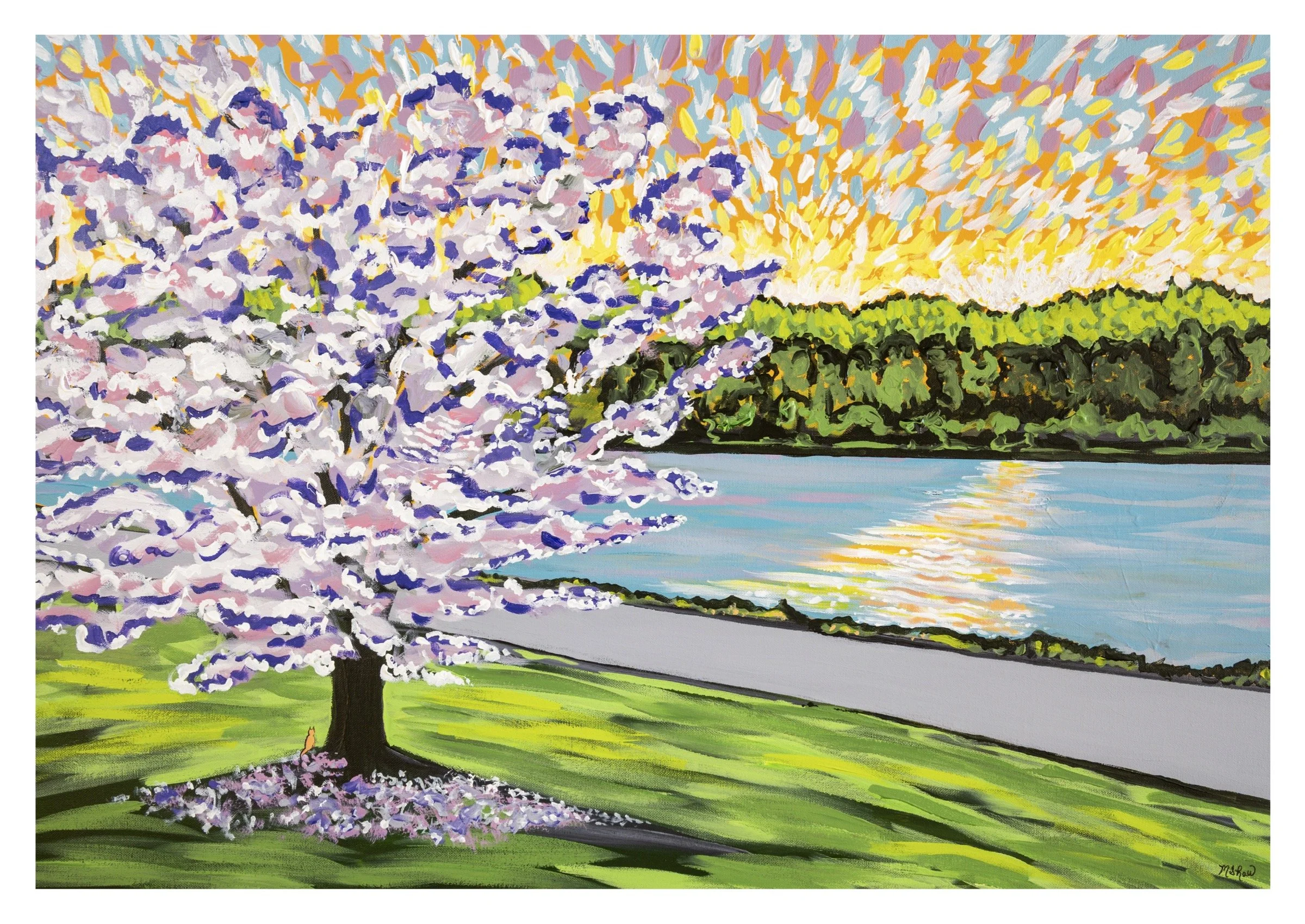 Greenlake card .jpg
