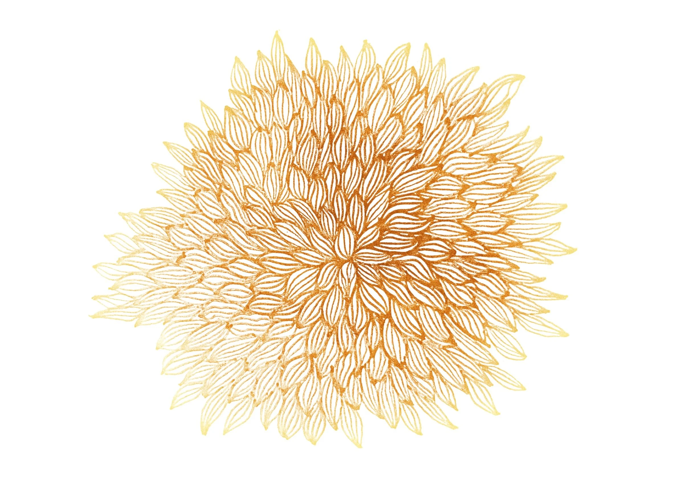 “GOLD” 
(Pen & Ink)
Artist Doug Trasher:

www.dougtrasher.com