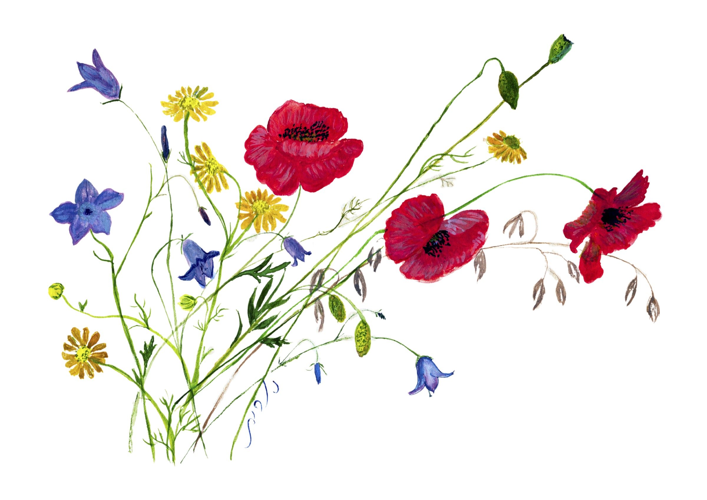 “DELICATE SPRING” 
(Acrylic)
Artist Nurit Naaman
