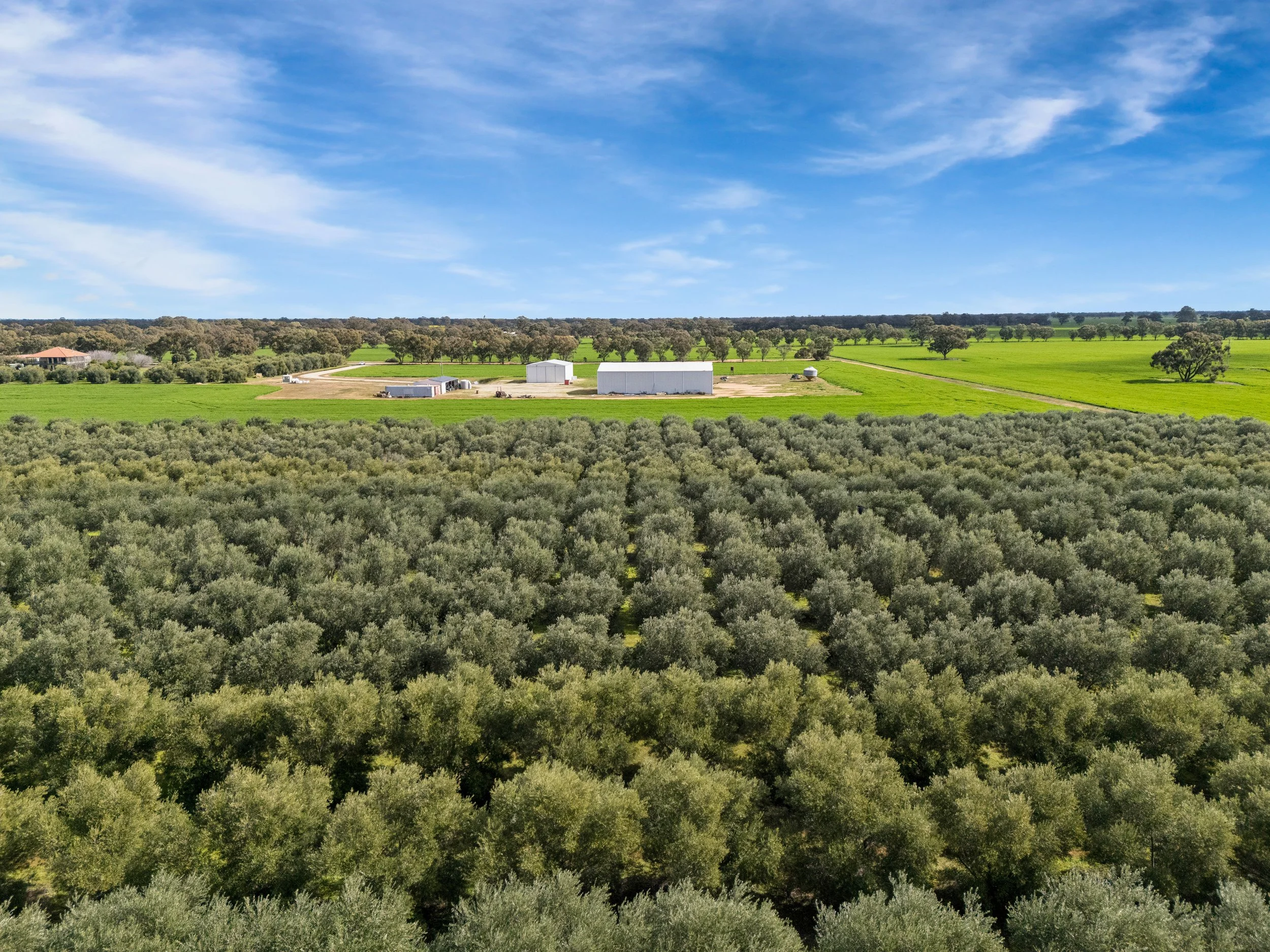 PRINT_DJI_20260813125208_0034_D_34.jpg